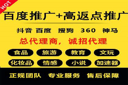 某企业通过SEO和SEM双管齐下实现业绩飞跃的案例